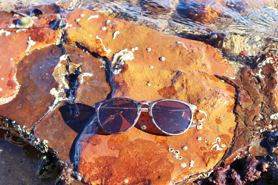 Astra Tortoiseshell