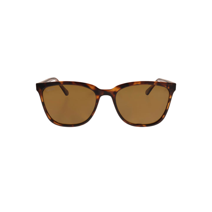 Luna Tortoiseshell