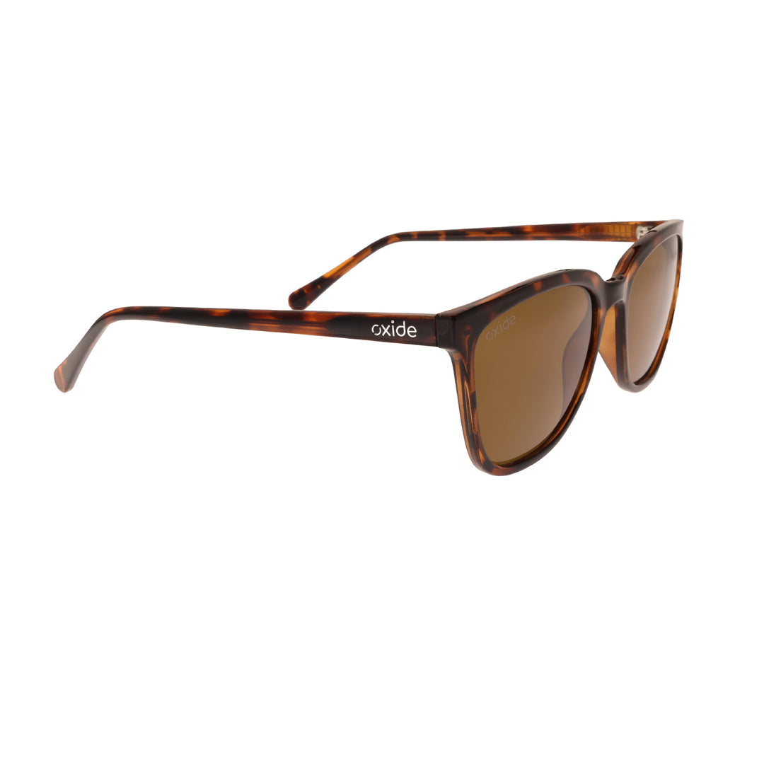 Luna Tortoiseshell