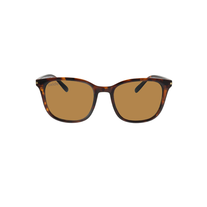 Nebular Tortoiseshell