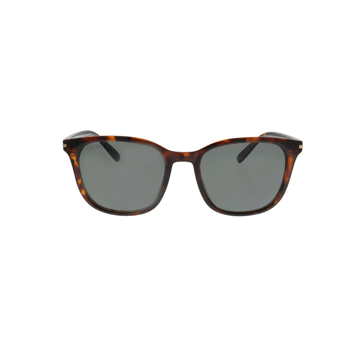 Nebular Tortoiseshell