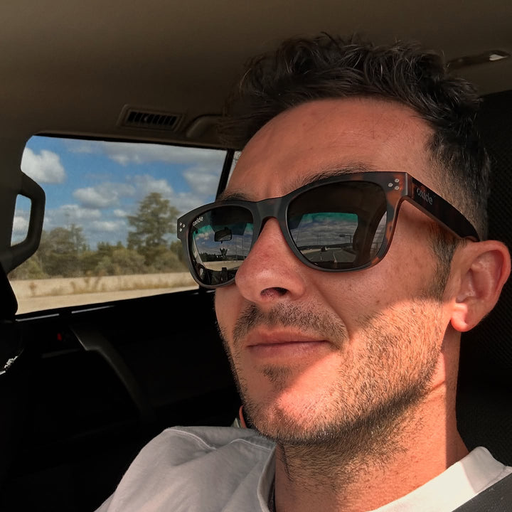 Horizon Tortoiseshell